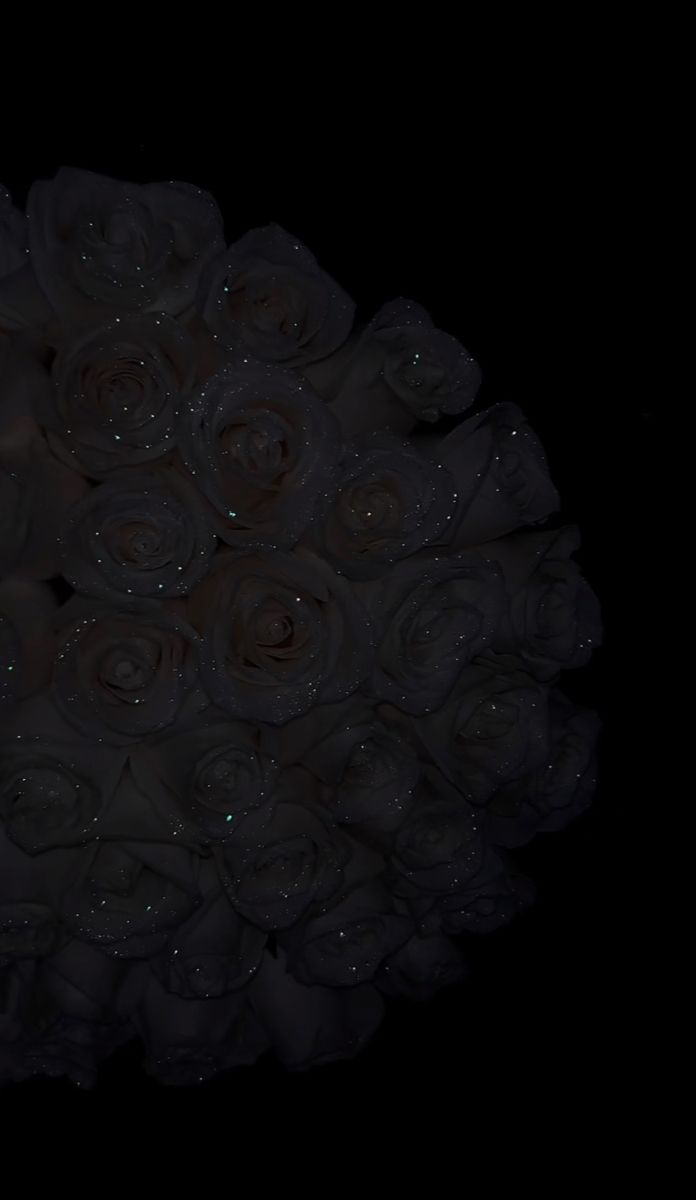 a bouquet of white roses with water droplets on them in the dark, against a black background