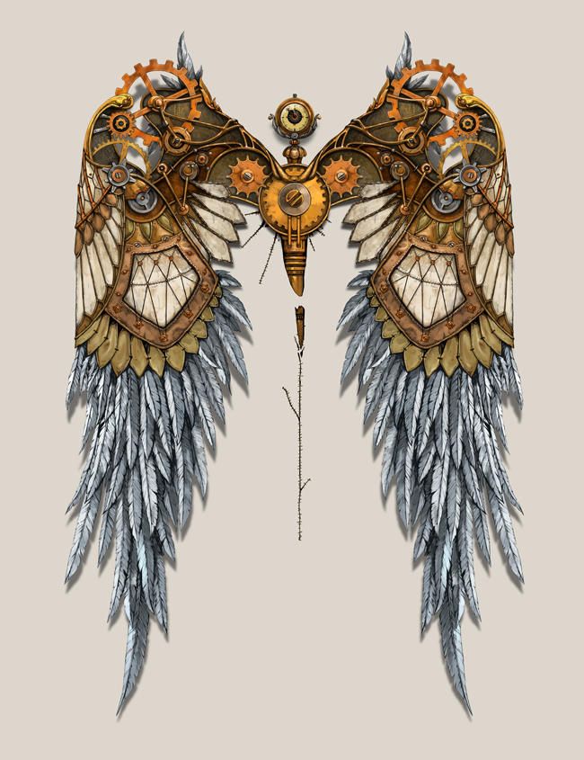 two wings that have been made out of feathers