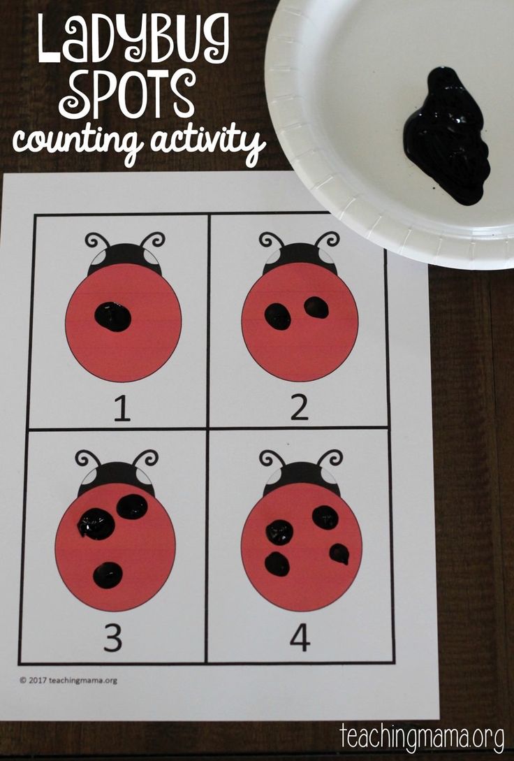 ladybug spot counting activity for preschool