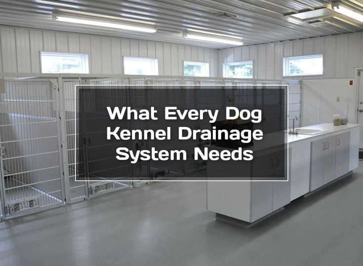 what every dog kennel drainage system needs