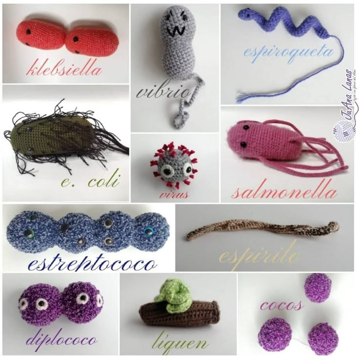 many crocheted items are shown in different colors and sizes, with the words written below them