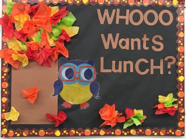 a bulletin board with an owl sitting on a tree and the words whooo want's lunch?