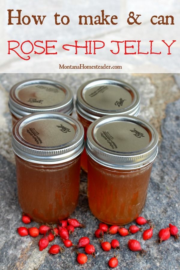 four jars filled with rosehip jelly sitting on top of a stone slab next to some red berries