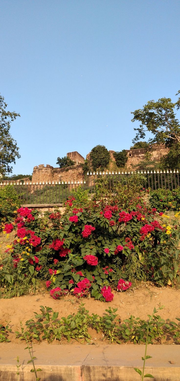 red and yellow flowers are growing on the side of a fenced in garden area