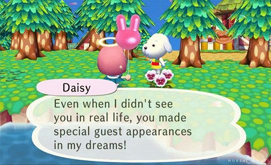 an animal crossing game with a bunny and rabbit in the background, text reads daisy even when i didn't see you in real life, you