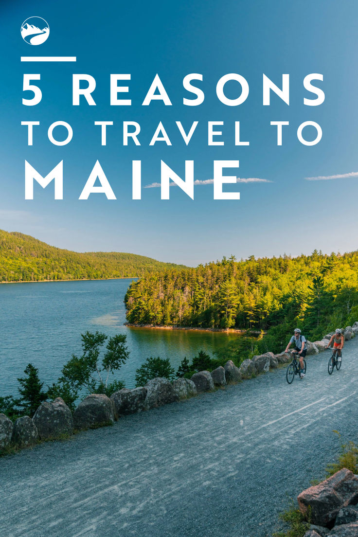 three people riding bikes down a road next to the ocean with text overlay reading 5 reasons to travel to maine