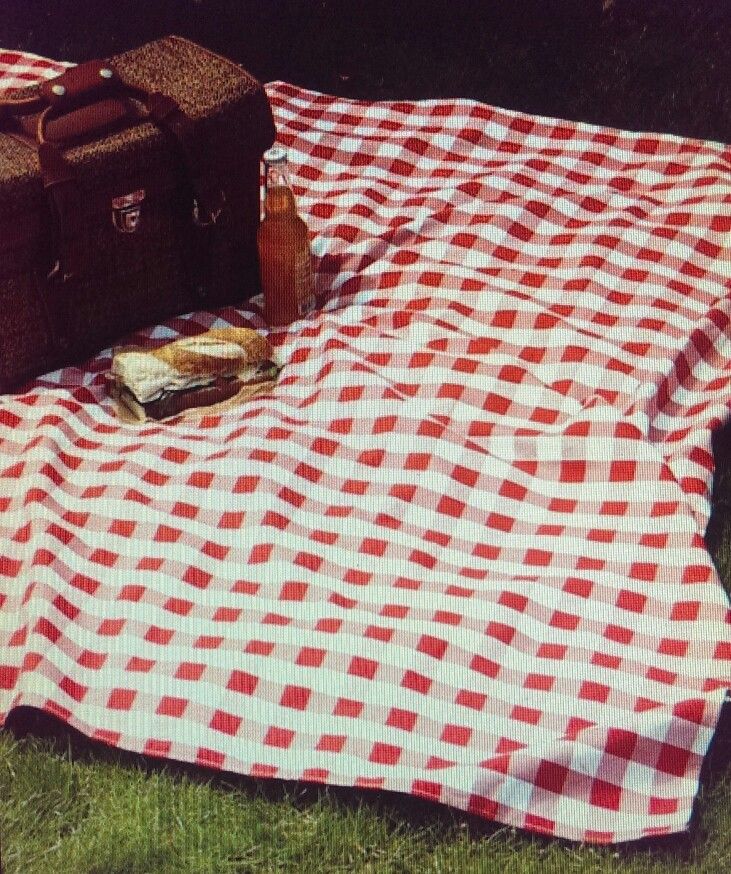 a picnic blanket on the grass next to two suitcases and a bottle of beer