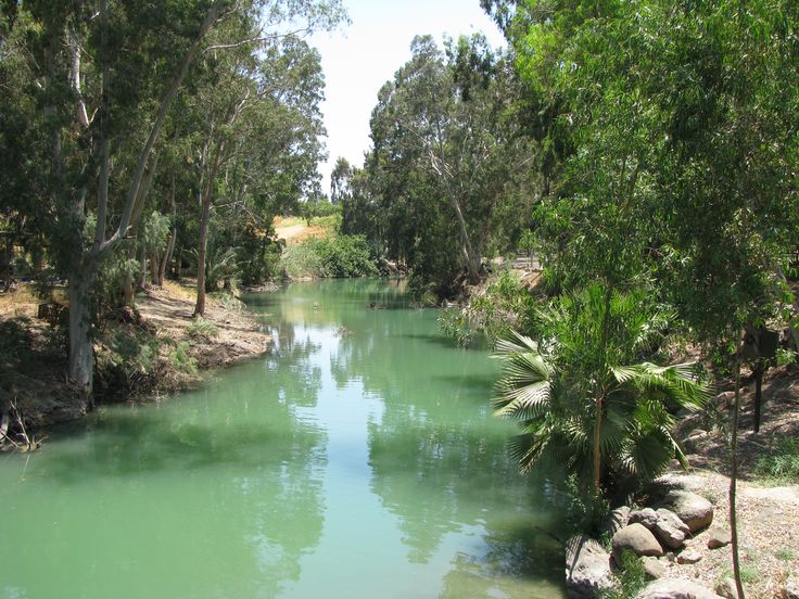 a river with green water surrounded by trees