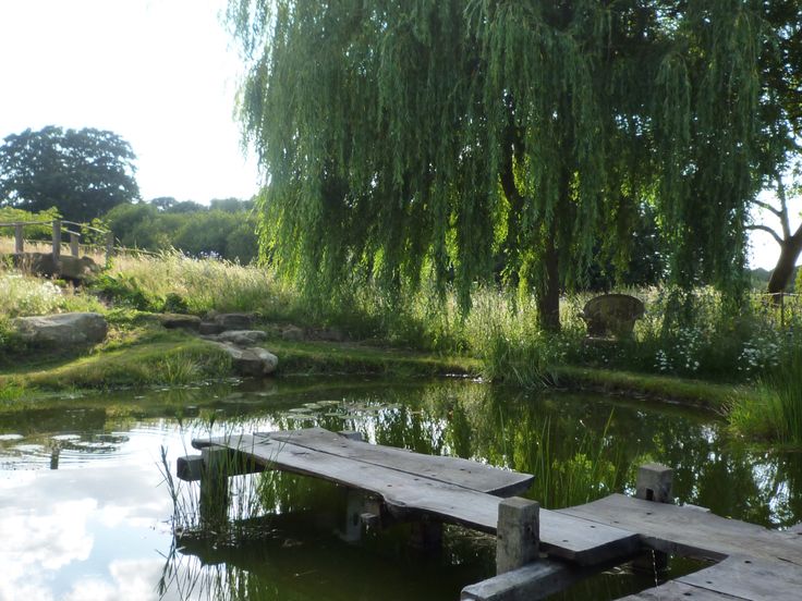 a wooden dock sitting in the middle of a pond