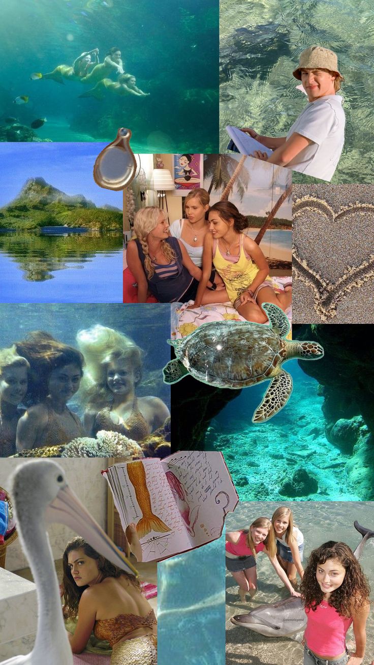 the collage shows people, animals and sea creatures in different pictures with words written on them