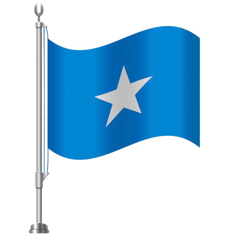 a blue and white flag with a silver star on it's side, flying in the wind