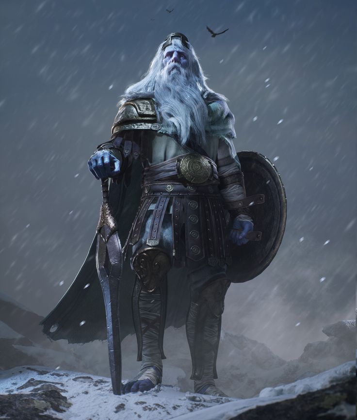 a man with long white hair and beard standing on top of a snow covered hill