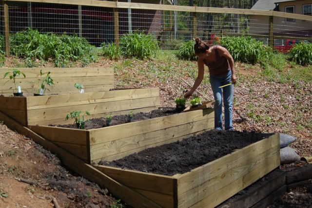 a man is tending to some plants in his garden