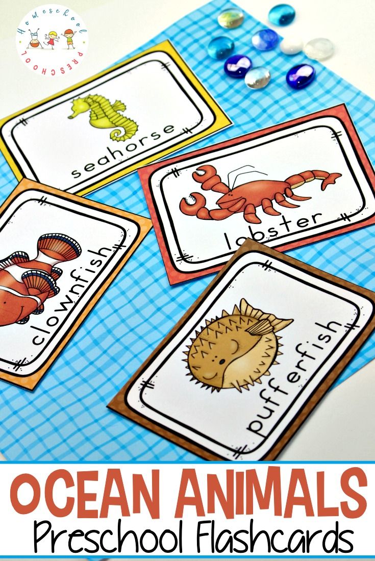 ocean animals preschool flash cards with the words ocean animals on them and an image of sea animals