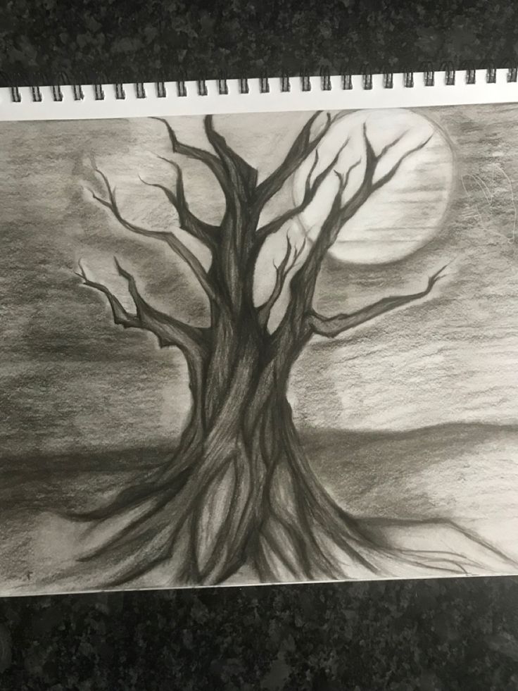 a pencil drawing of a tree with the moon in the sky and clouds behind it