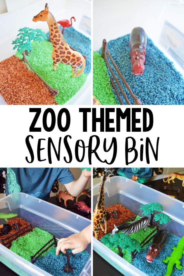 the zoo themed sensory bin is filled with toys