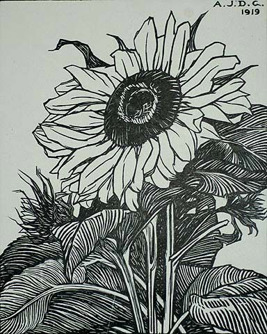 a black and white drawing of a sunflower