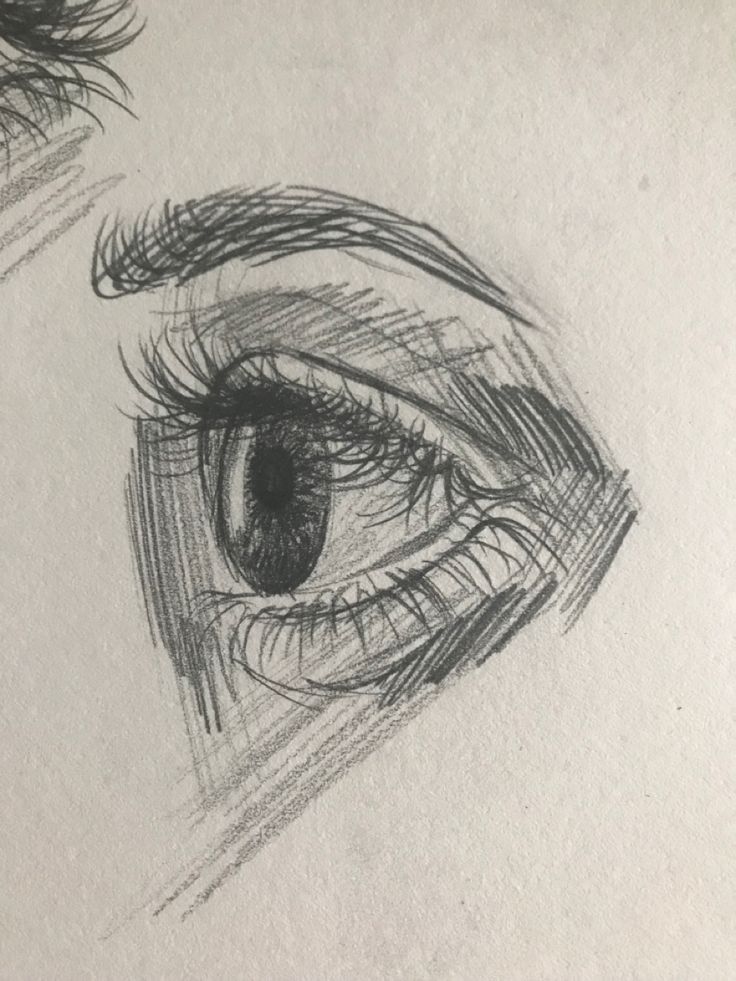 two drawings of an eye, one showing the iris