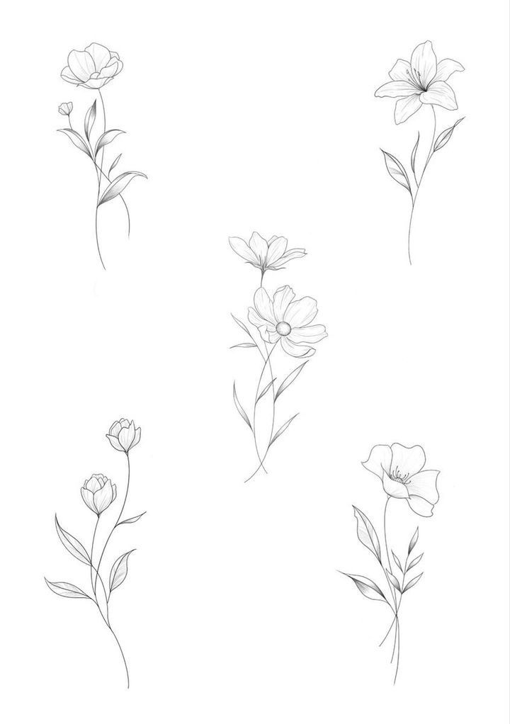 four different types of flowers are shown in this drawing technique, and each flower is drawn with