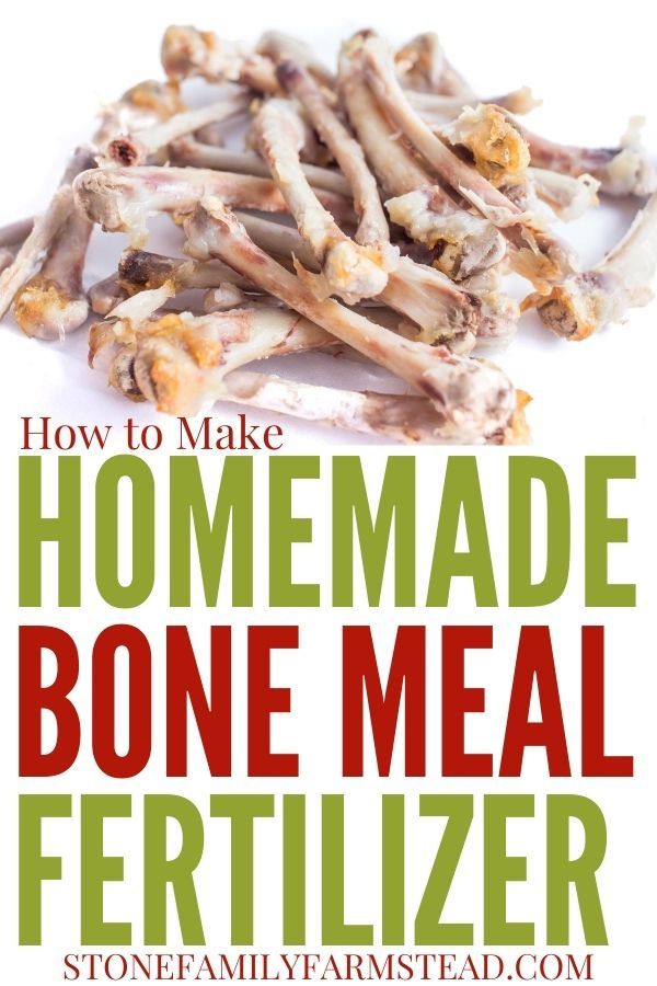 how to make homemade bone meal fertilizer