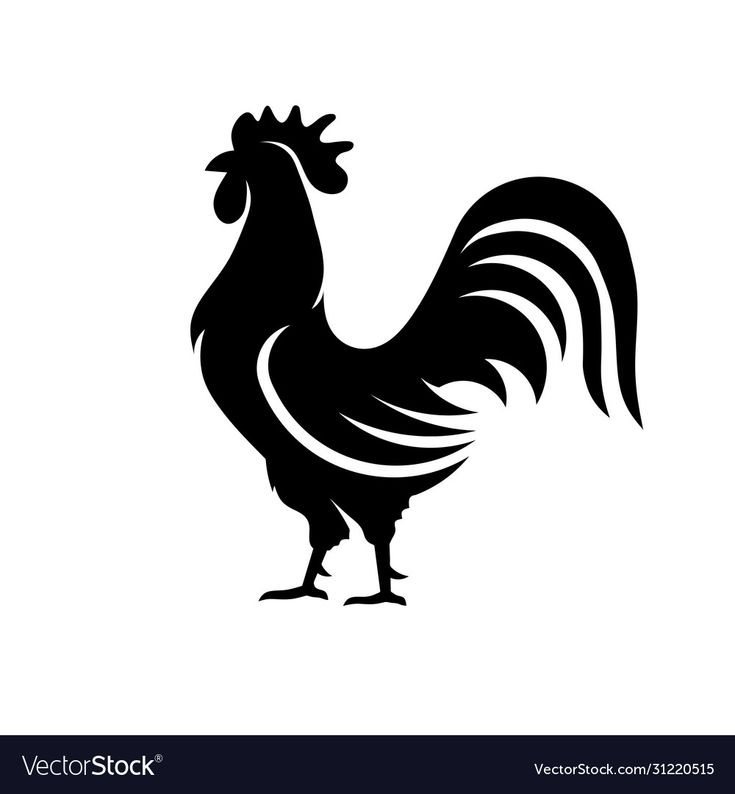 a black and white silhouette of a rooster