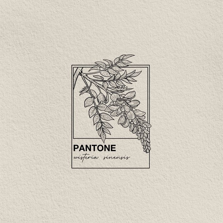 the logo for pantone's kitchen pantry is shown in black and white, with leaves on it