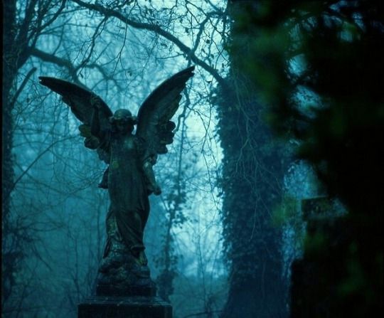 an angel statue in the middle of a cemetery with trees behind it and foggy sky