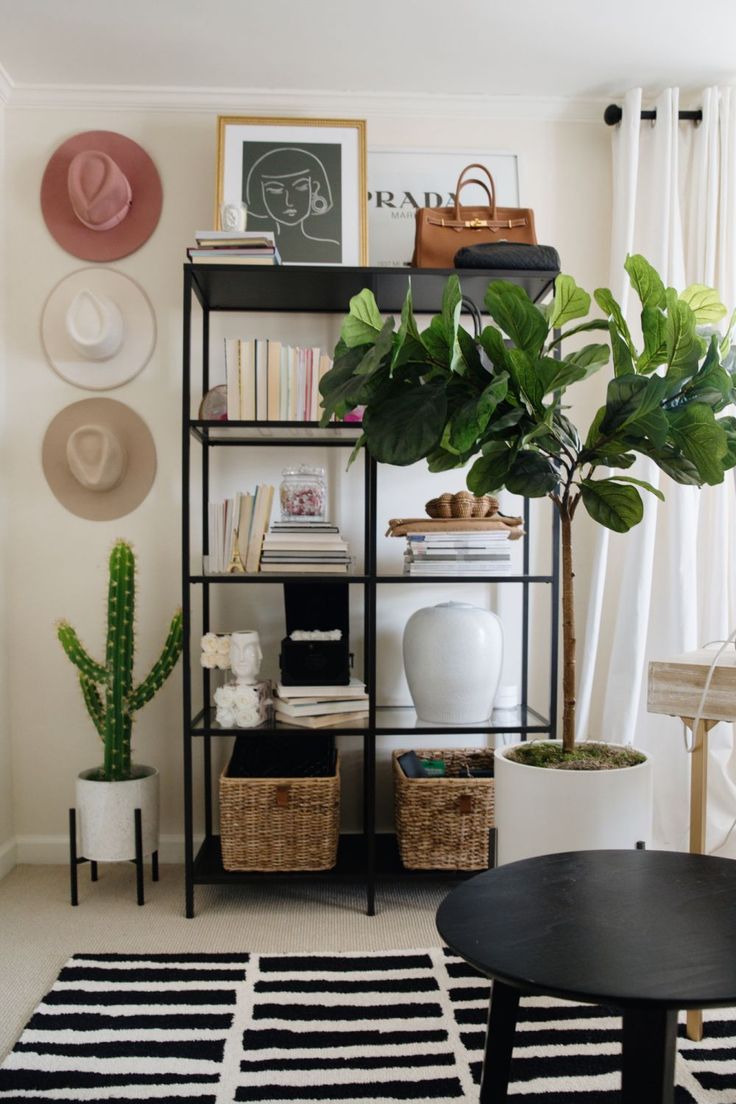 a living room filled with furniture and a potted plant on top of a shelf