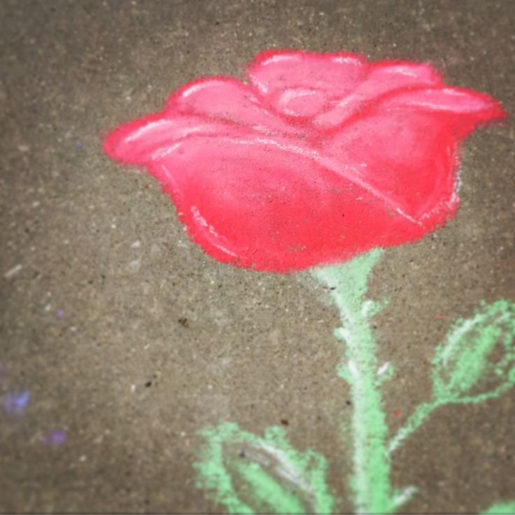 a drawing of a red rose on the ground with chalk paste in front of it