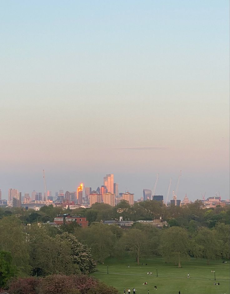 a city skyline is seen in the distance from a grassy field with people on it