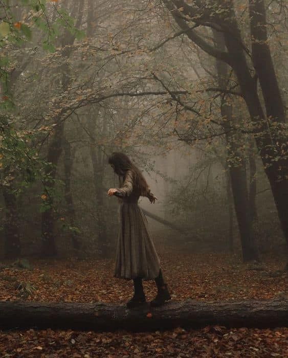 a person standing on a log in the middle of a forest with trees and leaves