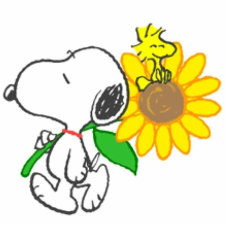 a drawing of a snoopy holding a sunflower