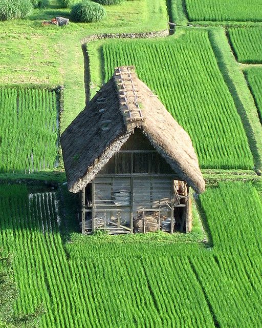 an aerial view of a small hut in the middle of a field with grass growing all around it