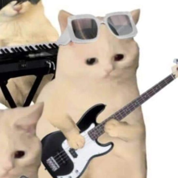 two cats wearing sunglasses, one with a guitar and the other with a cat playing an electric guitar