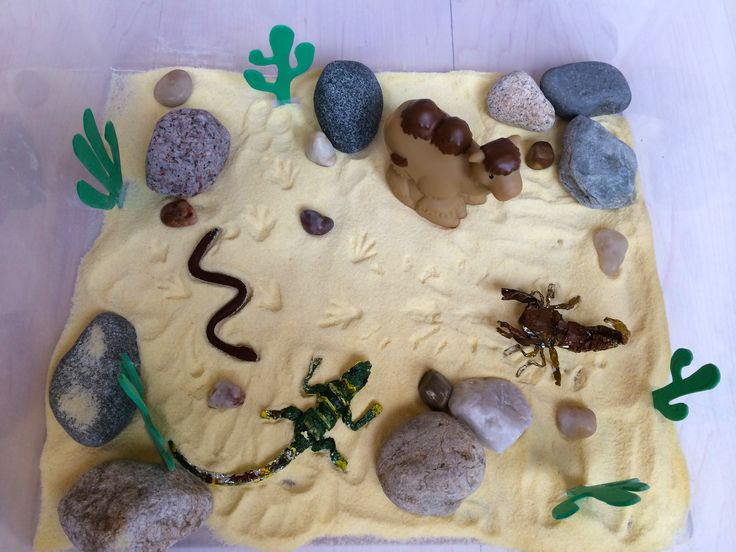 a cake made to look like a desert with rocks, grass and plants on it