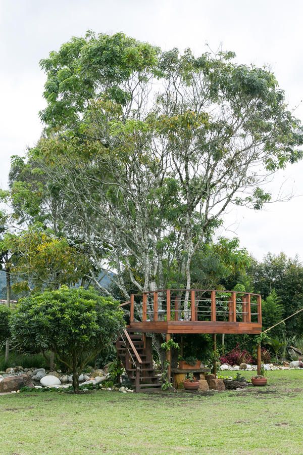 a wooden deck in front of a tree