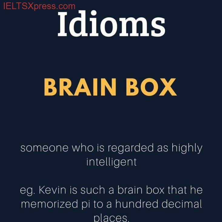 Brain Box Idiom Meaning for IELTS Writing & Speaking Idioms For Ielts Speaking, English Is Easy, English Phrases Sentences, English Vinglish, Ielts Speaking, Advanced English Vocabulary, English Transition Words, New Vocabulary Words, Better English