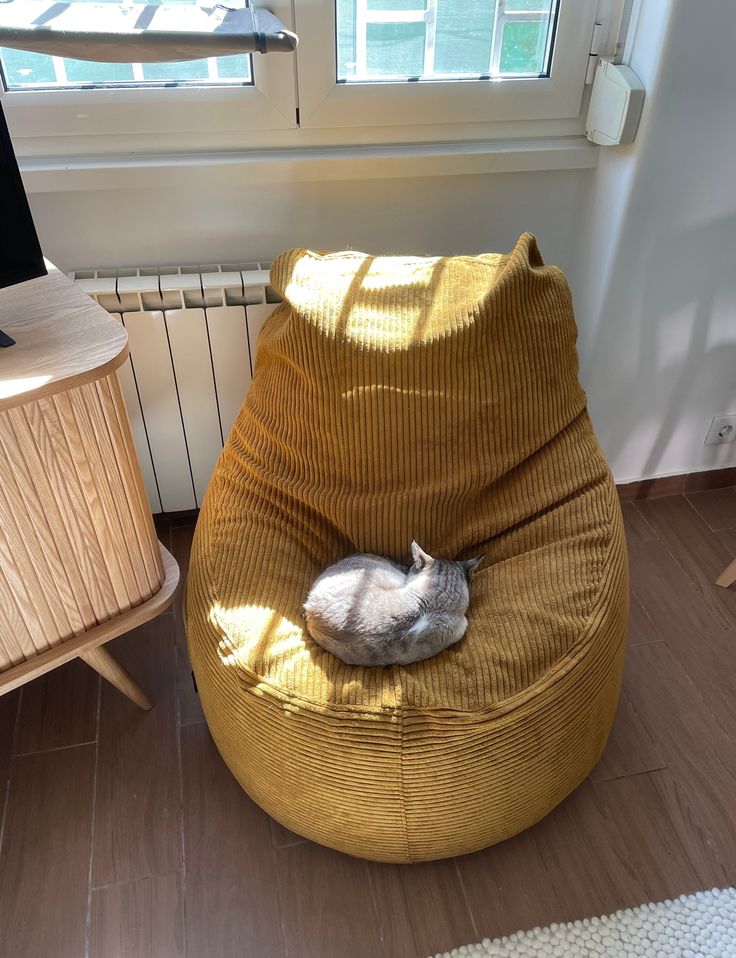 a cat is sleeping on a bean bag chair