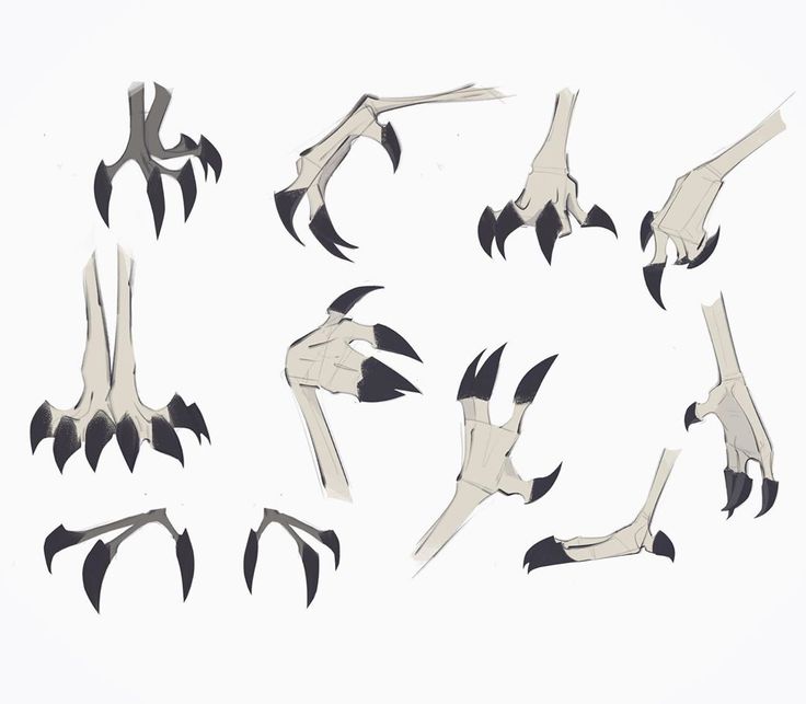 an image of birds that are flying in the air with their beaks extended and feet spread out