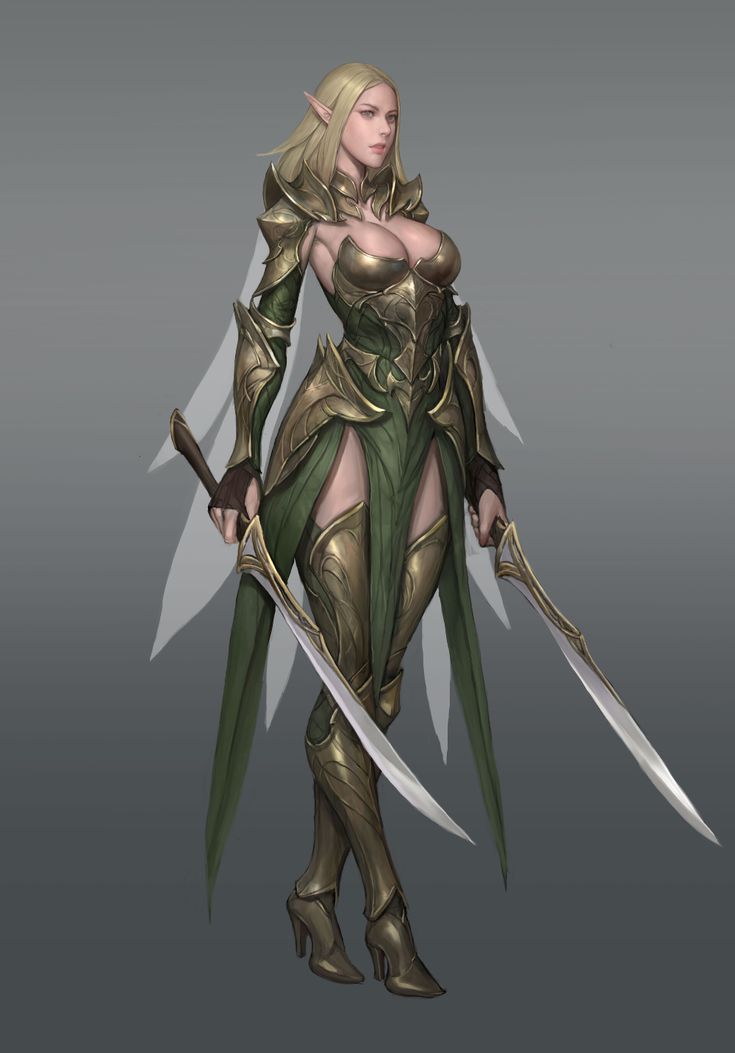 an image of a woman in armor holding two swords