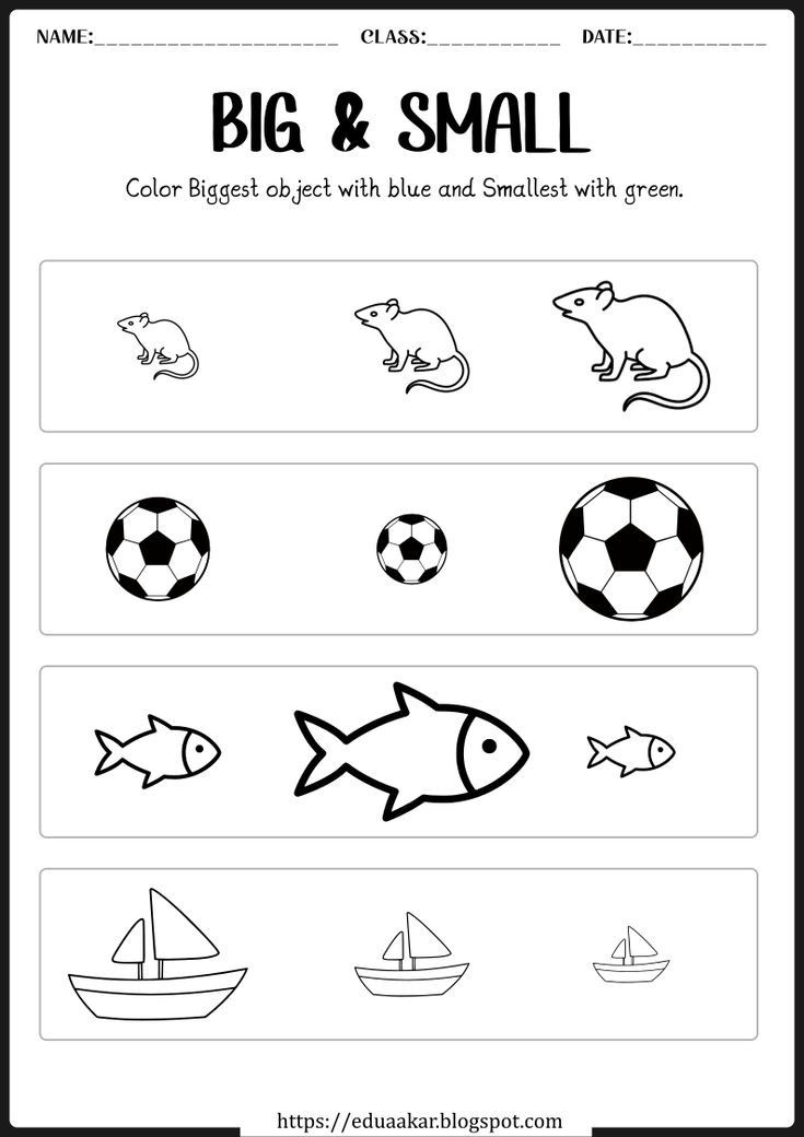 the worksheet for preschool to learn how to draw and color pictures with animals