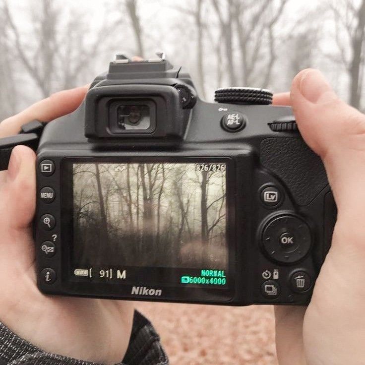 a person holding up a camera to take a photo in front of some trees and bushes