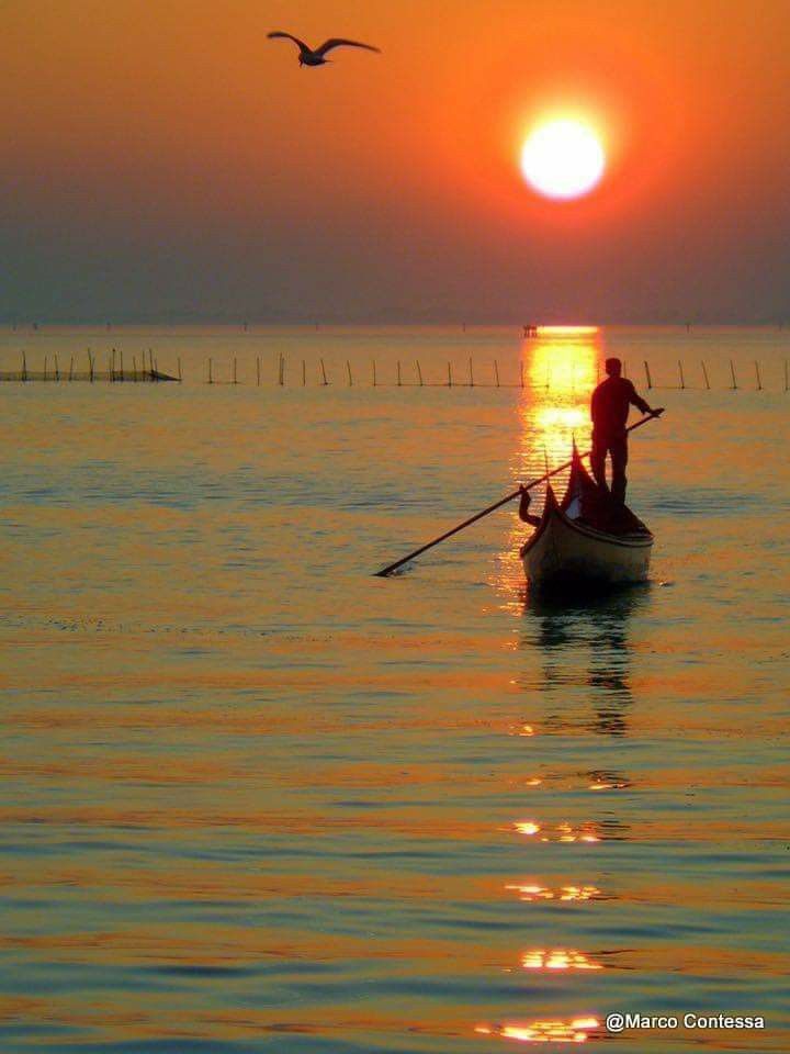 two people in a row boat at sunset