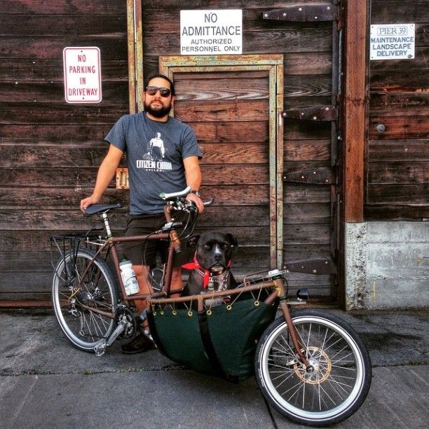 a man standing next to his bike with a dog in the basket on the back