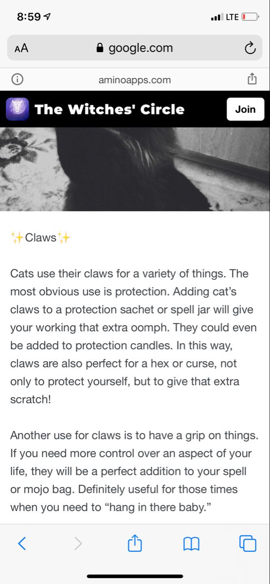 Cat Claws In Witchcraft, Cats Claw Magical Properties, Cat Claws Witchcraft, Cat Whiskers Witchcraft, Witchcraft Diy, Spell Books, Witch Stuff, Woo Woo, Eclectic Witch