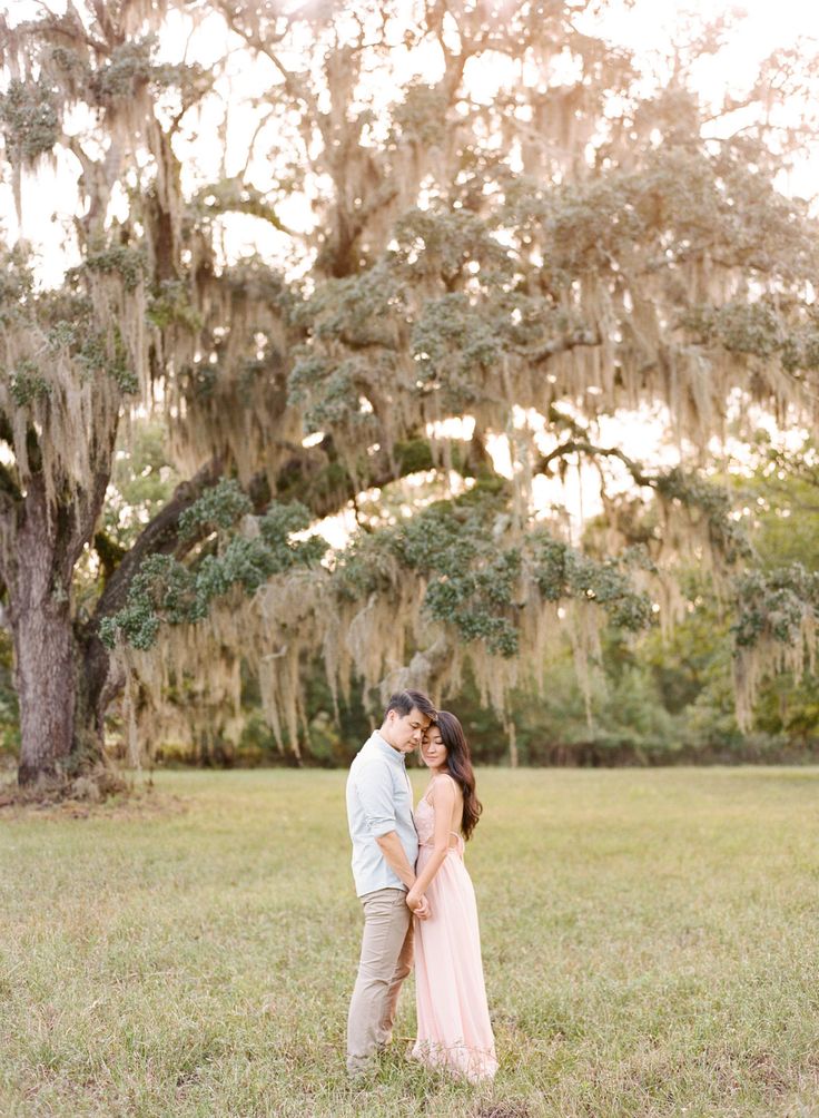 an engaged couple standing in front of a large tree with spanish moss hanging from the branches