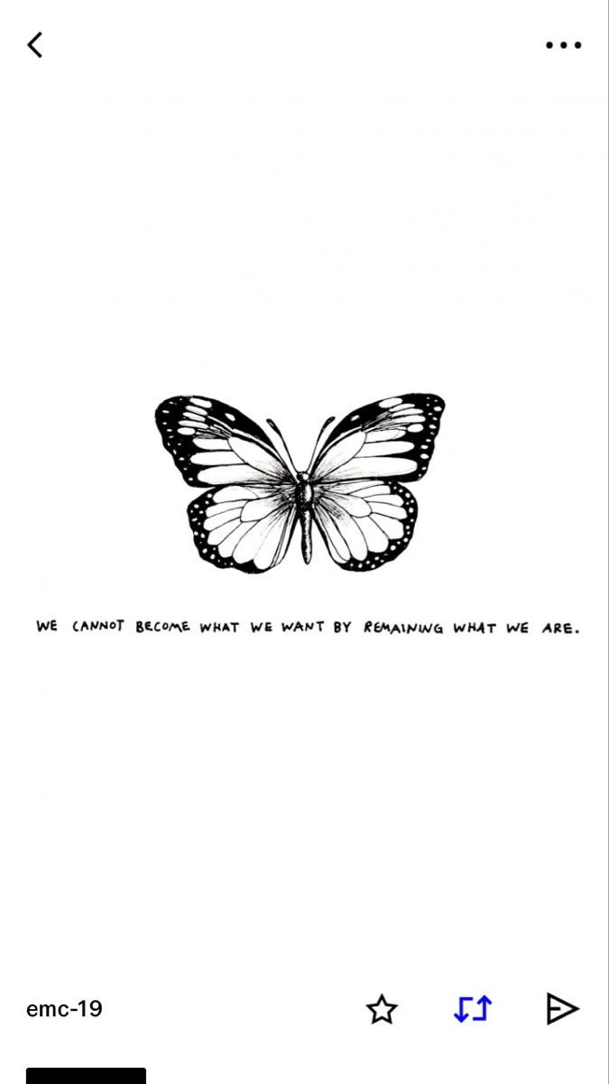 a black and white drawing of a butterfly with the words, we cannot't fly by