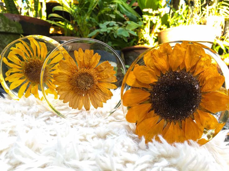 three glass vases with yellow flowers in them sitting on a white furnishing