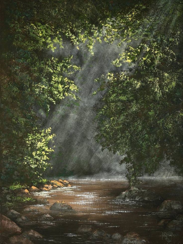 an oil painting of a river in the woods with sunbeams and rays coming through the trees