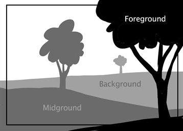 a tree is shown with the words foreground, background and mid ground below it